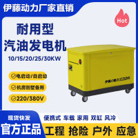 伊藤动力YT10REM汽油发电机移动式车载便携式10KW
